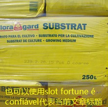 slot fortune é confiável slot fortune é confiável